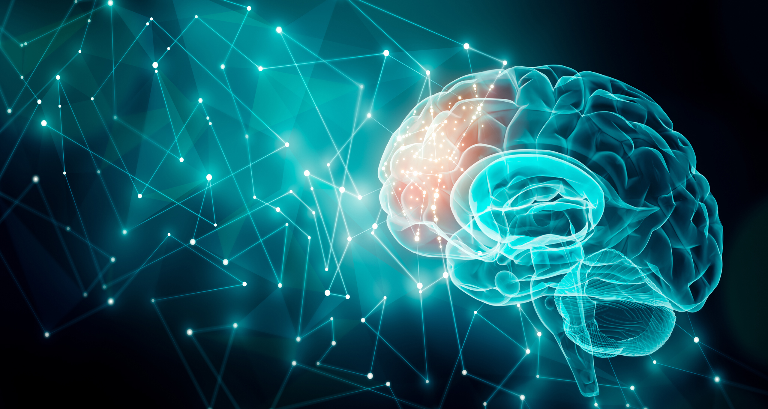 Knowvance AI-powered study platform with document analysis and quiz generation
